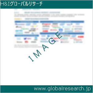 グローバルリサーチ調査レポートのイメージ